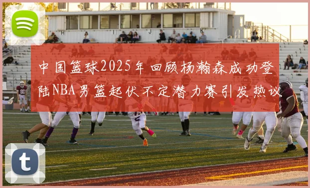 中国篮球2025年回顾杨瀚森成功登陆NBA男篮起伏不定潜力赛引发热议与争论